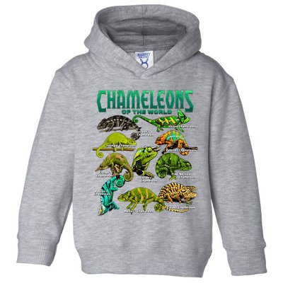 Chameleons Of The World Educational Reptile Lizard Lover Toddler Hoodie