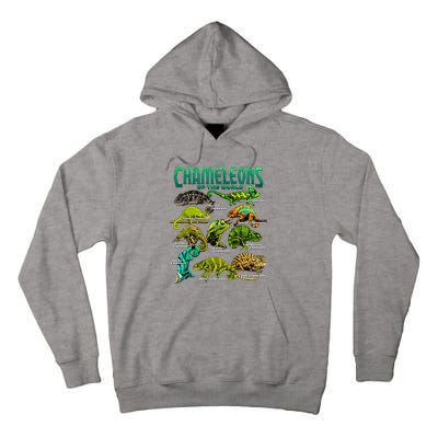 Chameleons Of The World Educational Reptile Lizard Lover Tall Hoodie