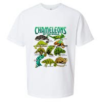 Chameleons Of The World Educational Reptile Lizard Lover Sueded Cloud Jersey T-Shirt