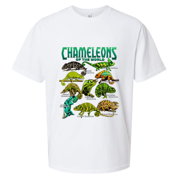 Chameleons Of The World Educational Reptile Lizard Lover Sueded Cloud Jersey T-Shirt