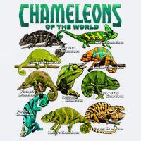 Chameleons Of The World Educational Reptile Lizard Lover Sueded Cloud Jersey T-Shirt