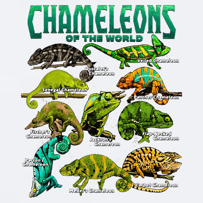 Chameleons Of The World Educational Reptile Lizard Lover Sueded Cloud Jersey T-Shirt