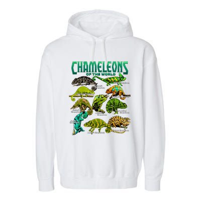 Chameleons Of The World Educational Reptile Lizard Lover Garment-Dyed Fleece Hoodie