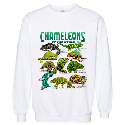 Chameleons Of The World Educational Reptile Lizard Lover Garment-Dyed Sweatshirt