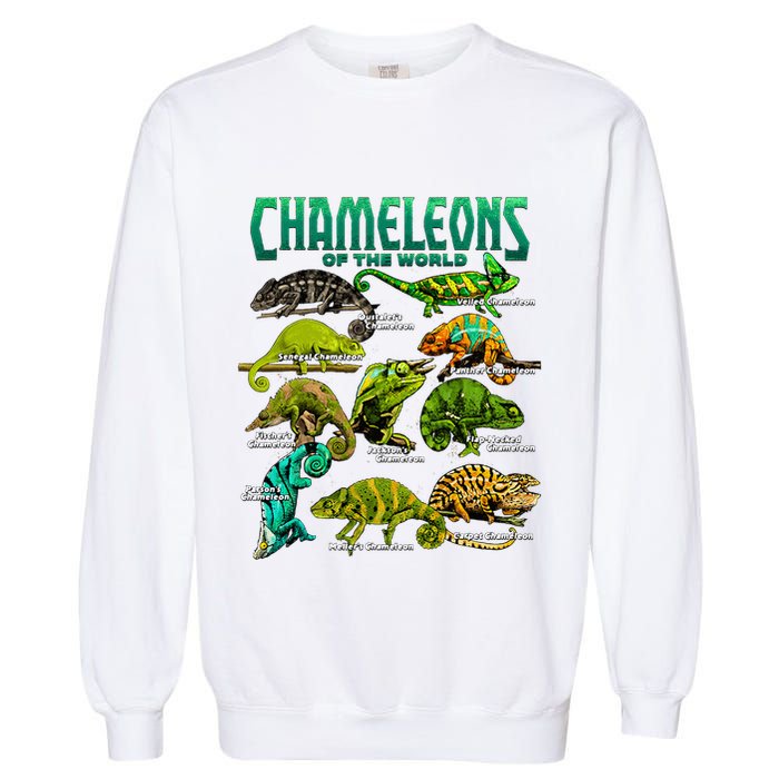 Chameleons Of The World Educational Reptile Lizard Lover Garment-Dyed Sweatshirt
