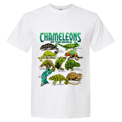 Chameleons Of The World Educational Reptile Lizard Lover Garment-Dyed Heavyweight T-Shirt