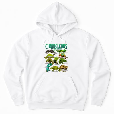 Chameleons Of The World Educational Reptile Lizard Lover Hoodie