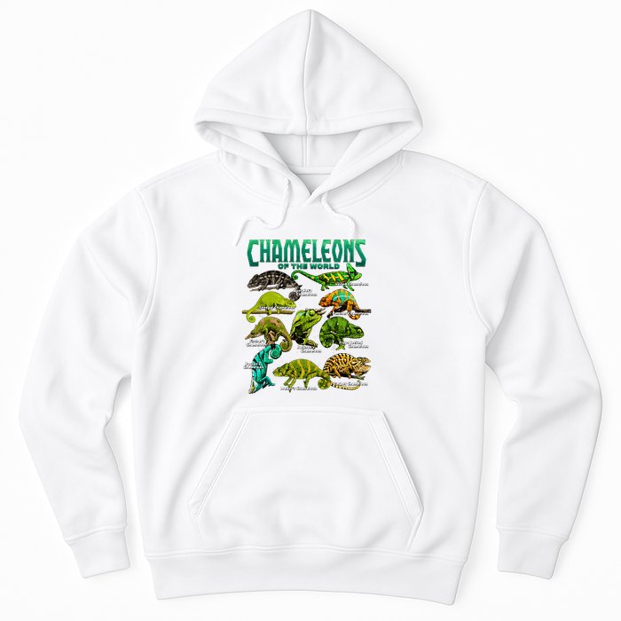 Chameleons Of The World Educational Reptile Lizard Lover Hoodie