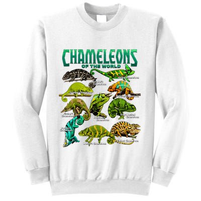 Chameleons Of The World Educational Reptile Lizard Lover Sweatshirt