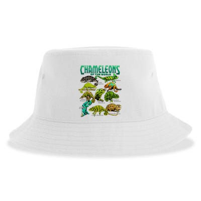 Chameleons Of The World Educational Reptile Lizard Lover Sustainable Bucket Hat