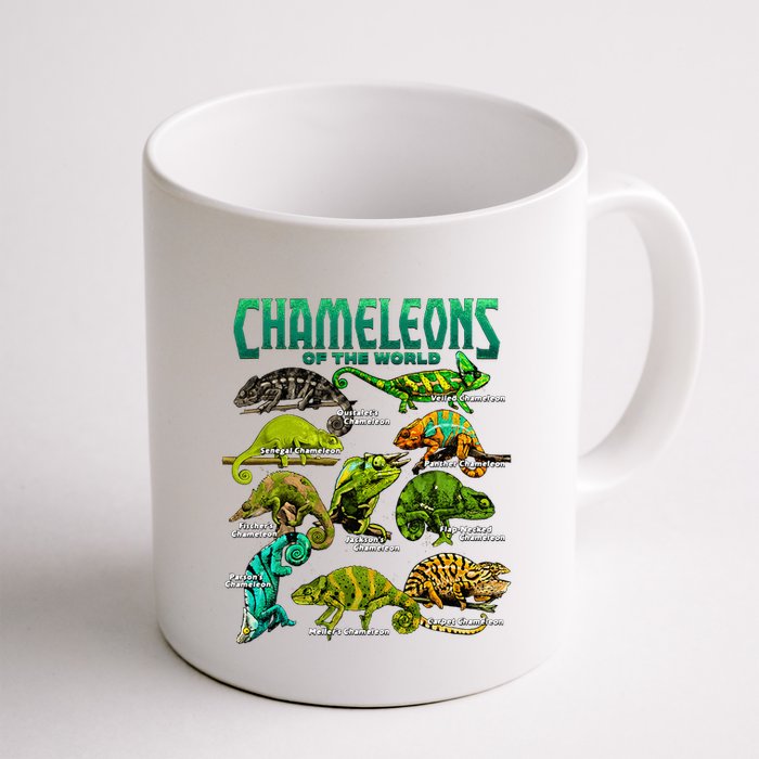 Chameleons Of The World Educational Reptile Lizard Lover Mug