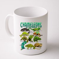 Chameleons Of The World Educational Reptile Lizard Lover Mug