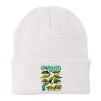 Chameleons Of The World Educational Reptile Lizard Lover Beanie