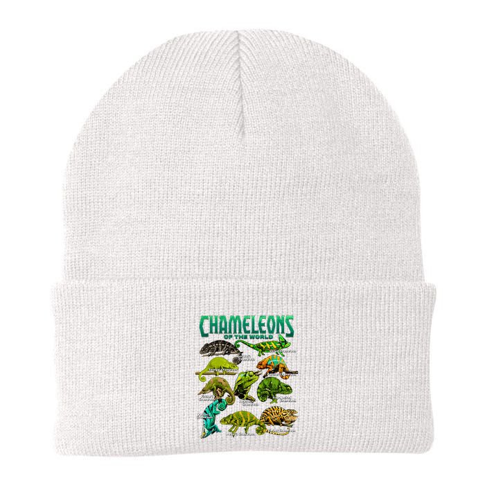 Chameleons Of The World Educational Reptile Lizard Lover Beanie