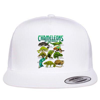 Chameleons Of The World Educational Reptile Lizard Lover Flatbill Hat