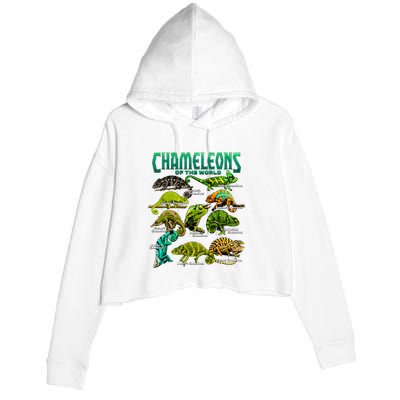 Chameleons Of The World Educational Reptile Lizard Lover Crop Fleece Hoodie