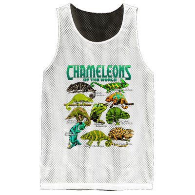 Chameleons Of The World Educational Reptile Lizard Lover Mesh Reversible Basketball Jersey Tank