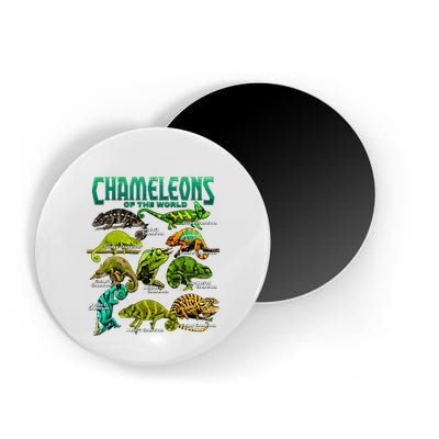 Chameleons Of The World Educational Reptile Lizard Lover Magnet