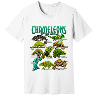 Chameleons Of The World Educational Reptile Lizard Lover Premium T-Shirt