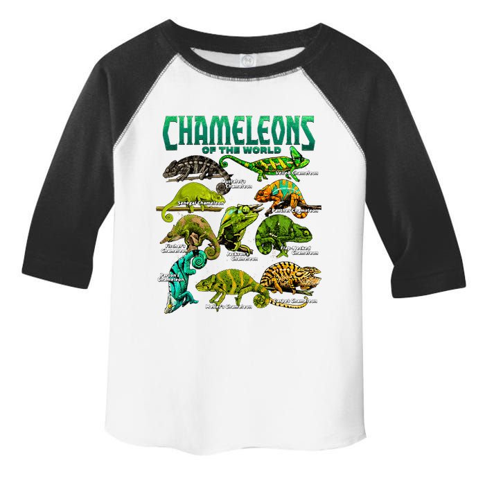 Chameleons Of The World Educational Reptile Lizard Lover Toddler Fine Jersey T-Shirt