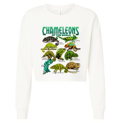 Chameleons Of The World Educational Reptile Lizard Lover Cropped Pullover Crew
