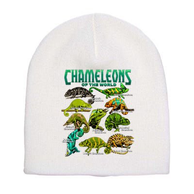 Chameleons Of The World Educational Reptile Lizard Lover Short Acrylic Beanie
