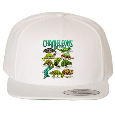 Chameleons Of The World Educational Reptile Lizard Lover Wool Snapback Cap