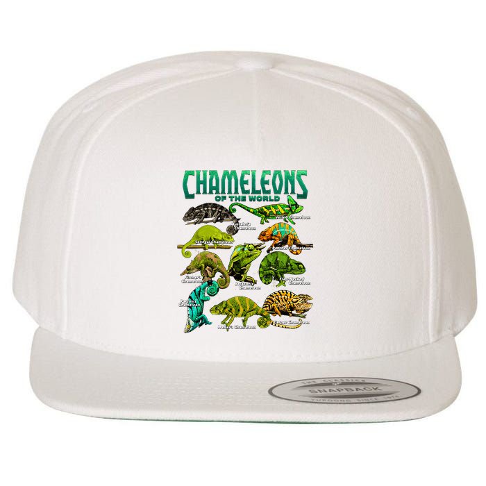 Chameleons Of The World Educational Reptile Lizard Lover Wool Snapback Cap