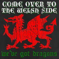 Come Over To The Welsh Side Red Dragon Flag Of Wales Rugby Adult Drive Performance Visor
