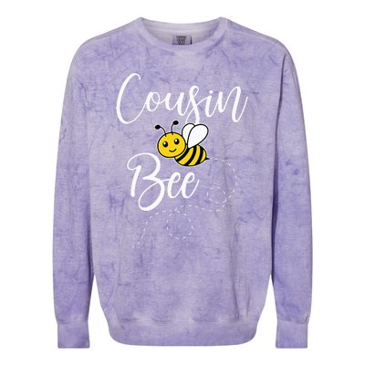 Cousin Of The Bee Day Girl Hive Family Matching Birthday Colorblast Crewneck Sweatshirt