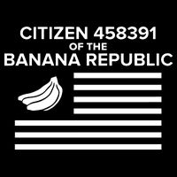 Citizen Of The Banana Republic Women's V-Neck T-Shirt
