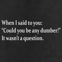 Could You Be Any Dumber Tumbler