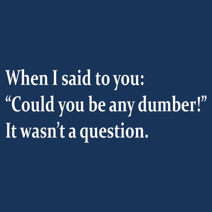 Could You Be Any Dumber Sweatshirt