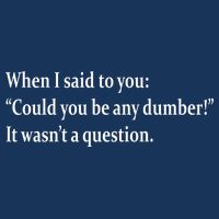 Could You Be Any Dumber Mesh Reversible Basketball Jersey Tank