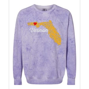 City Of Vernon Florida Fl Merch Souvenir Graphic Colorblast Crewneck Sweatshirt