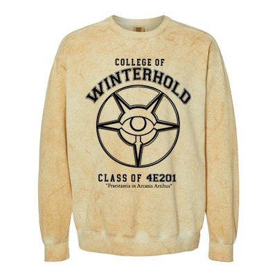 College Of Winterhold Champion University Gamer Colorblast Crewneck Sweatshirt