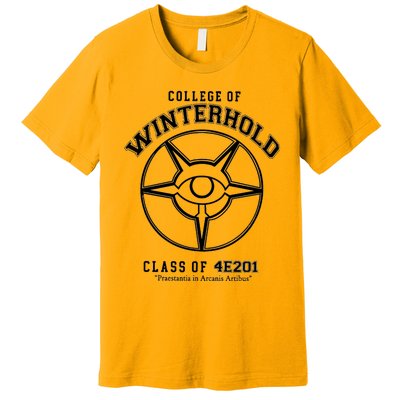 College Of Winterhold Champion University Gamer Premium T-Shirt