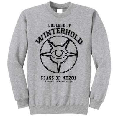 College Of Winterhold Champion University Gamer Sweatshirt