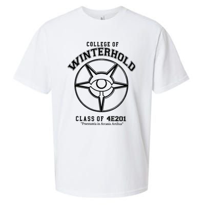 College Of Winterhold Champion University Gamer Sueded Cloud Jersey T-Shirt