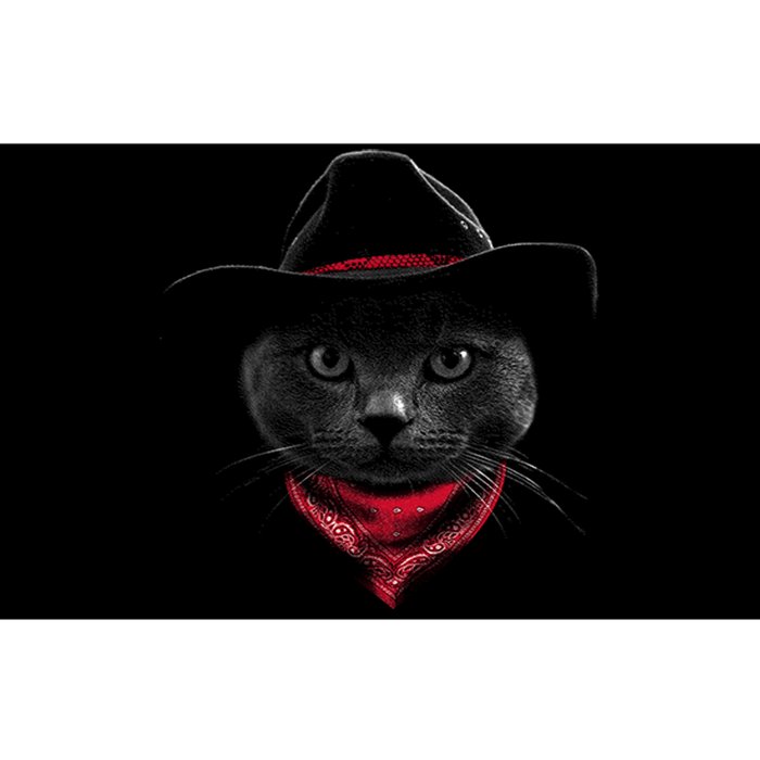 Cowboy Cat Bumper Sticker