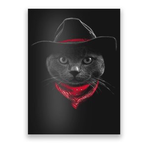 Cowboy Cat Poster