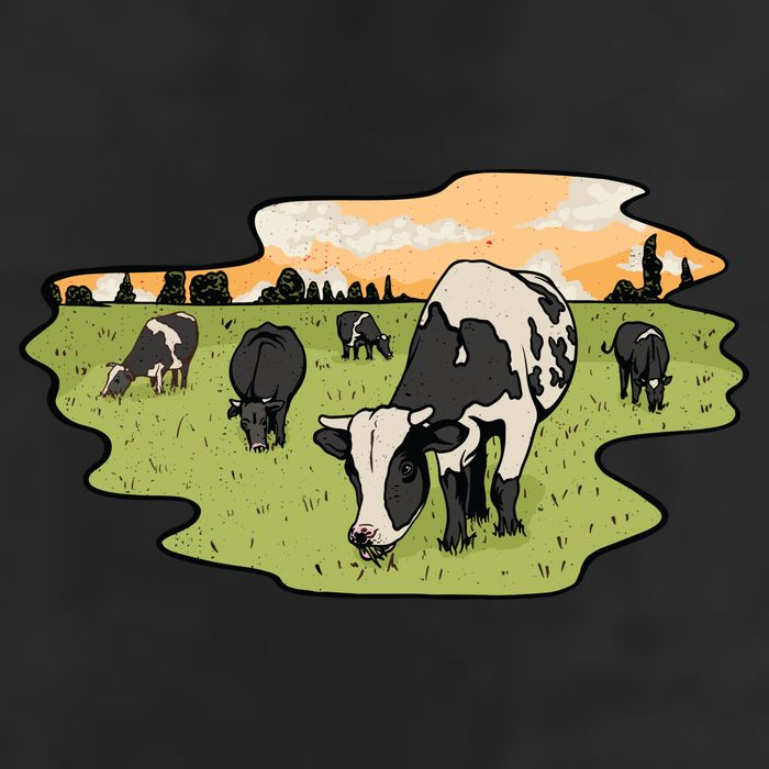 Cows In Field Adult Drive Performance Visor