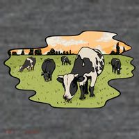 Cows In Field Tall T-Shirt