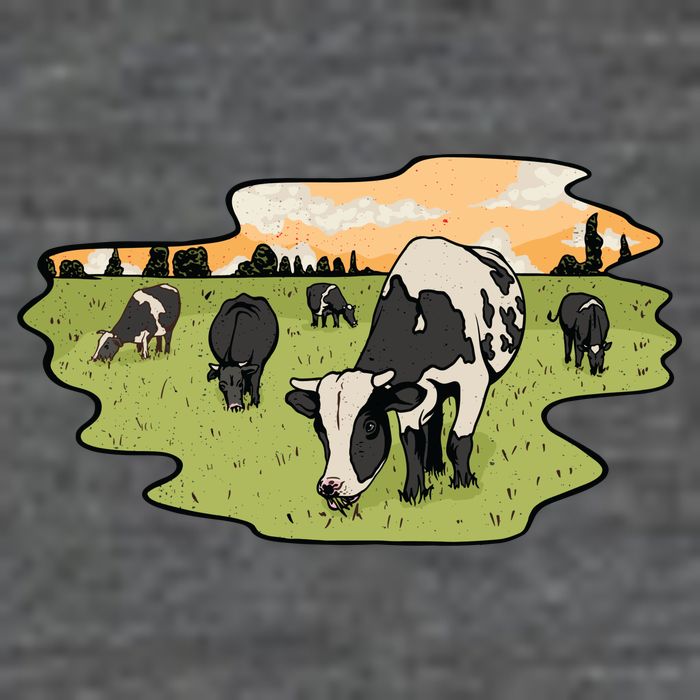 Cows In Field Premium T-Shirt