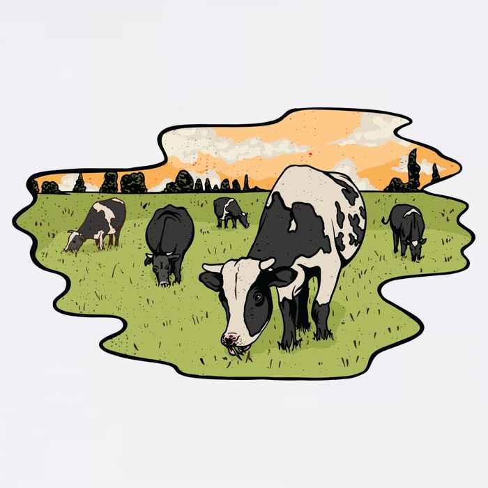 Cows In Field Garment-Dyed Sweatshirt