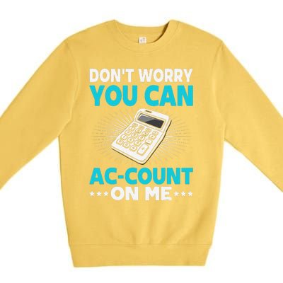 Certified Public Accountant Account Analyst Funny Gift Premium Crewneck Sweatshirt