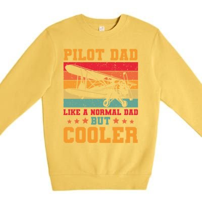 Cool Pilot Art Dad Aircraft Aviation Airplane Pilots Gift Premium Crewneck Sweatshirt