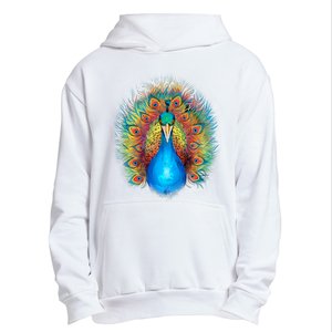 Colorful Peacock Art Urban Pullover Hoodie