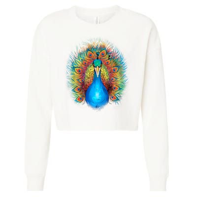 Colorful Peacock Art Cropped Pullover Crew