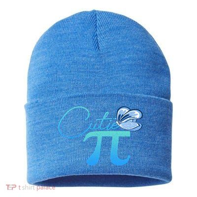 Cute Pie And Pi Day Math Lover Gift I National Pi Day Cool Gift Sustainable Knit Beanie